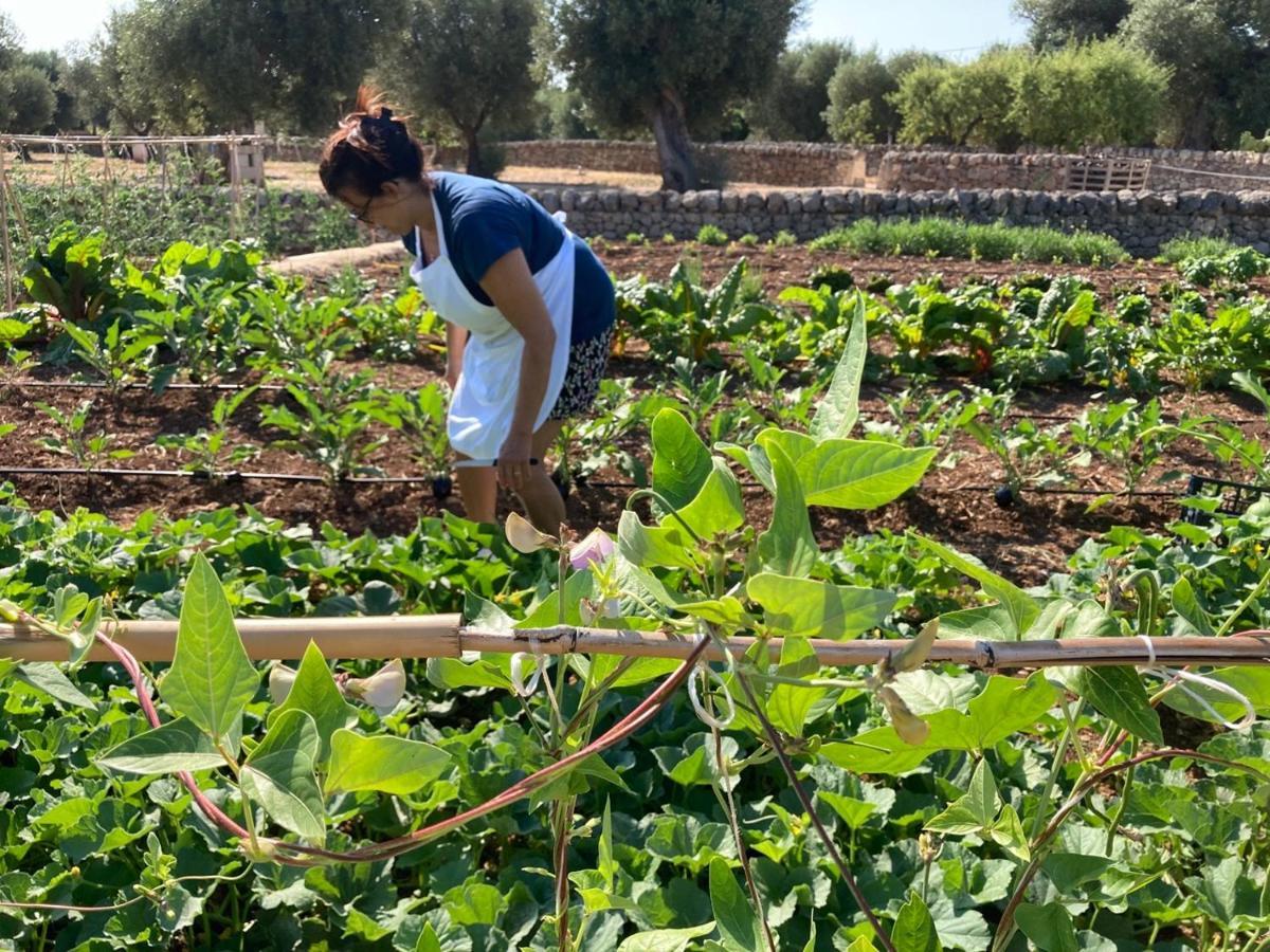 Boutique Hotel Masseria Sottomasi Savelletri ภายนอก รูปภาพ