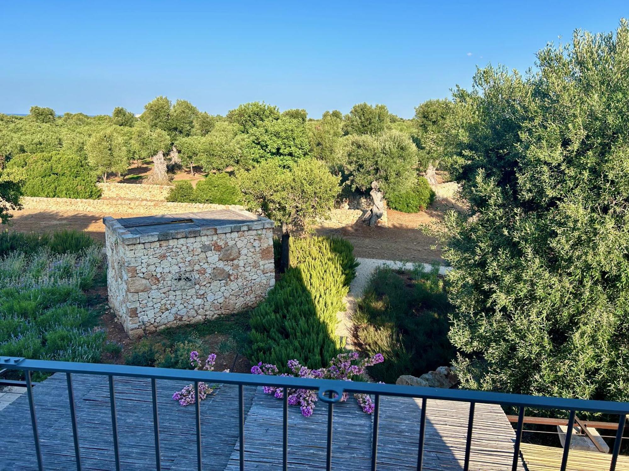 Boutique Hotel Masseria Sottomasi Savelletri ภายนอก รูปภาพ