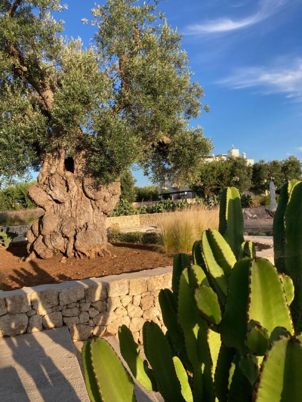 Boutique Hotel Masseria Sottomasi Savelletri ภายนอก รูปภาพ