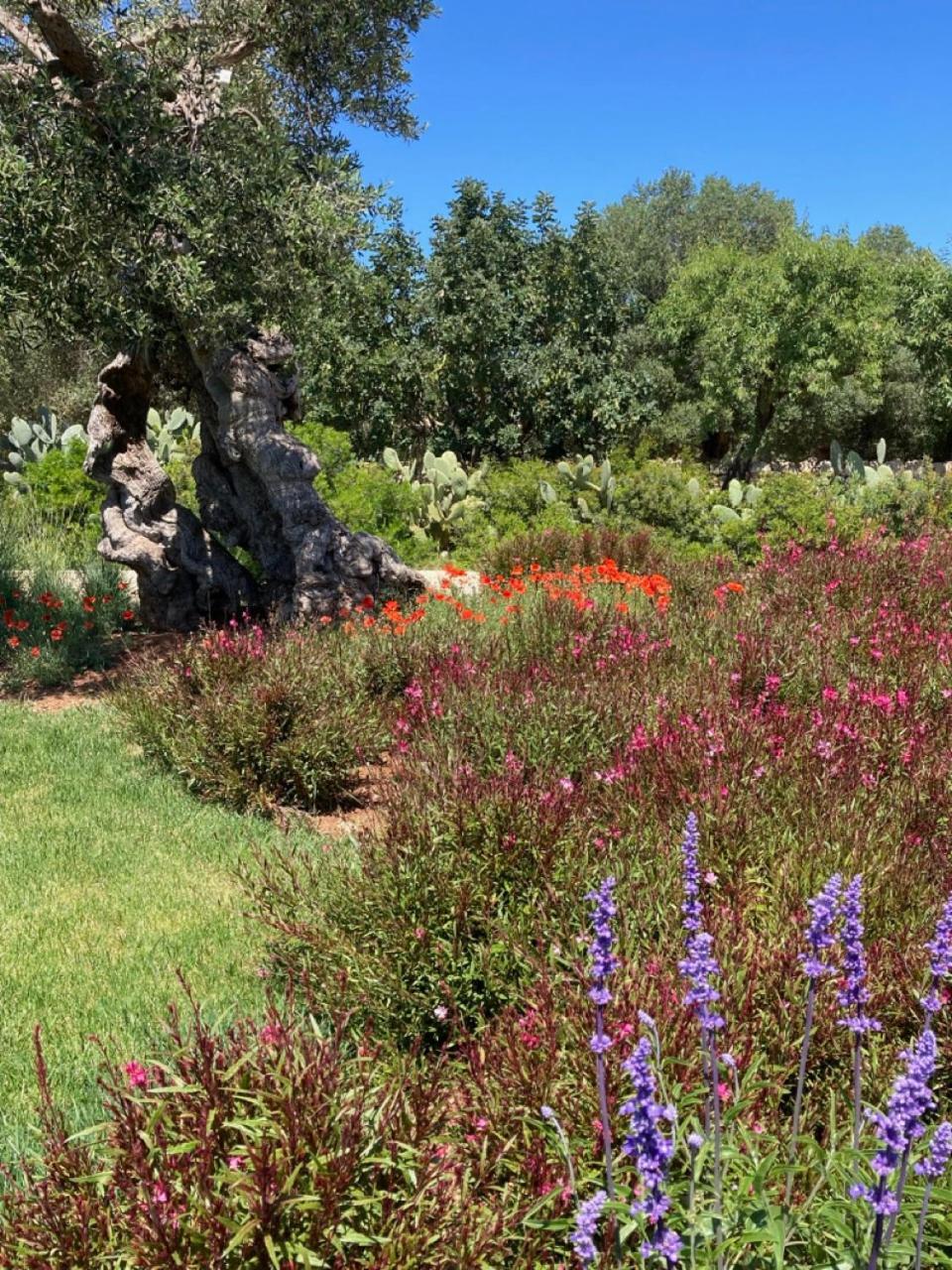Boutique Hotel Masseria Sottomasi Savelletri ภายนอก รูปภาพ