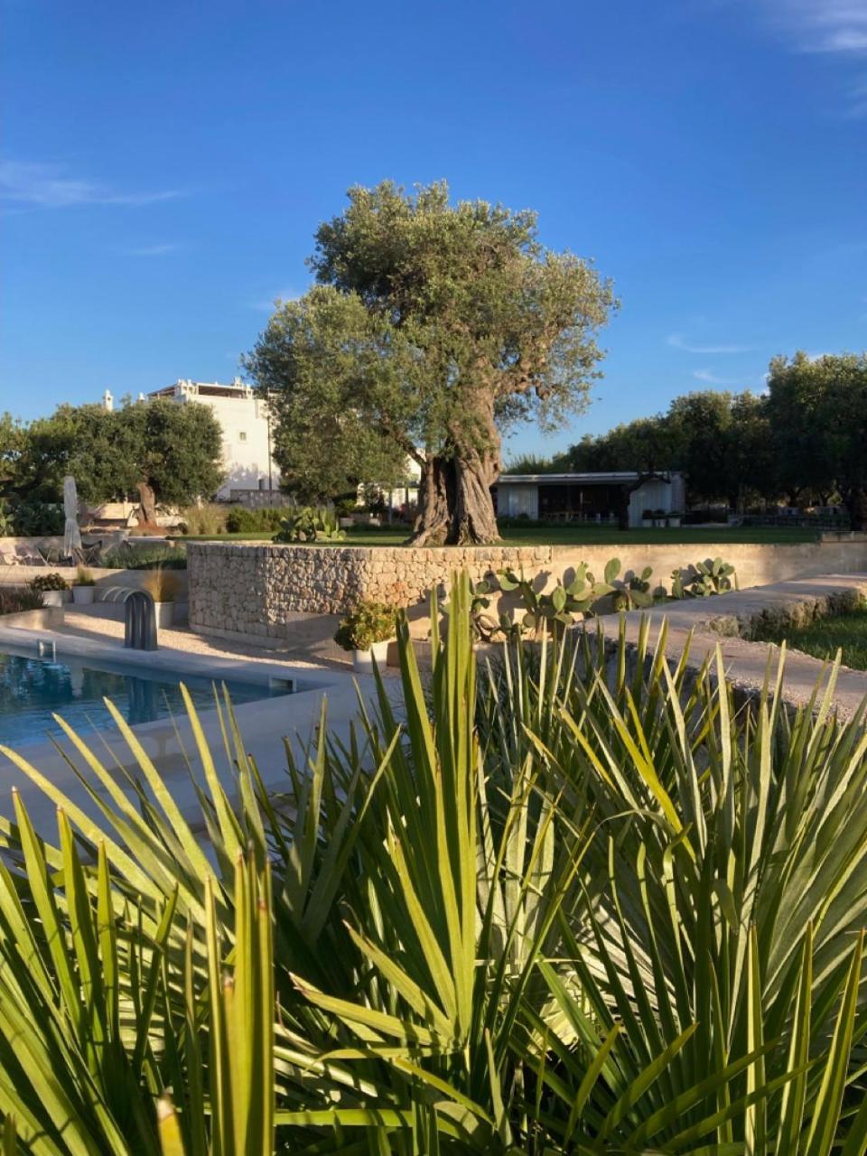 Boutique Hotel Masseria Sottomasi Savelletri ภายนอก รูปภาพ